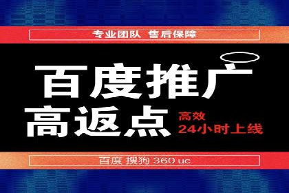 初学者的百度竞价推广：成功案例揭秘