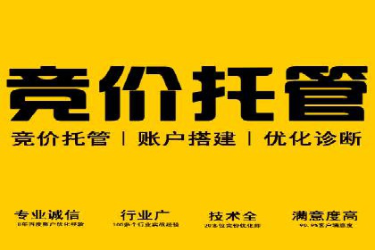 成功案例：专业SEM托管服务助力企业抢占行业制高点